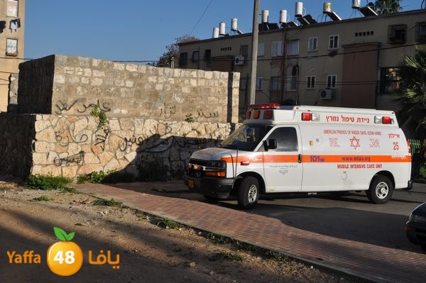 snakeluds310 (9).JPG